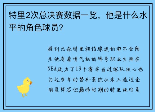 特里2次总决赛数据一览，他是什么水平的角色球员？
