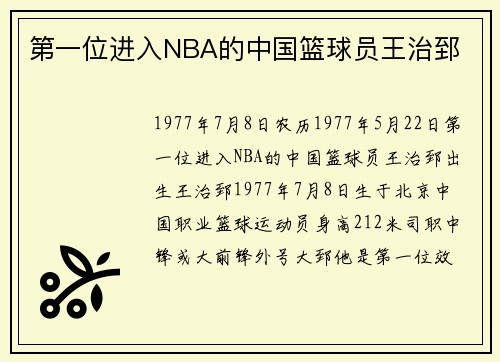第一位进入NBA的中国篮球员王治郅